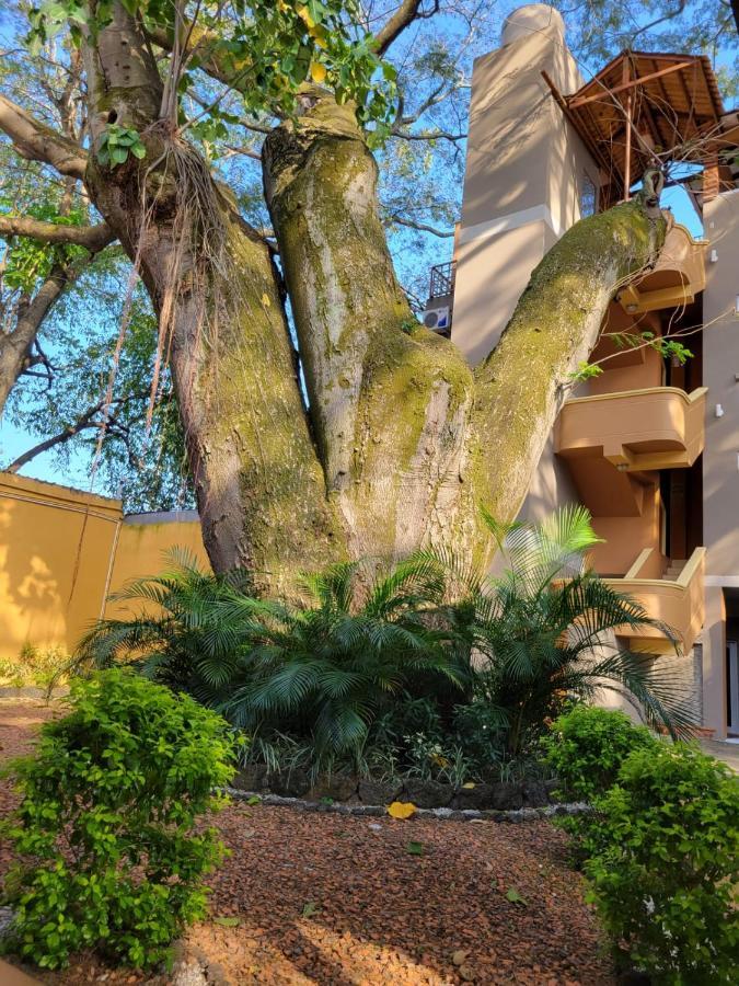 Aparthotel Real Guanacaste San Pedro Sula Exterior foto